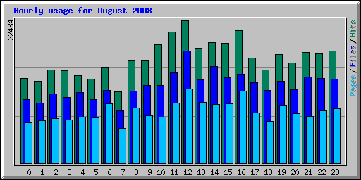 Hourly usage for August 2008